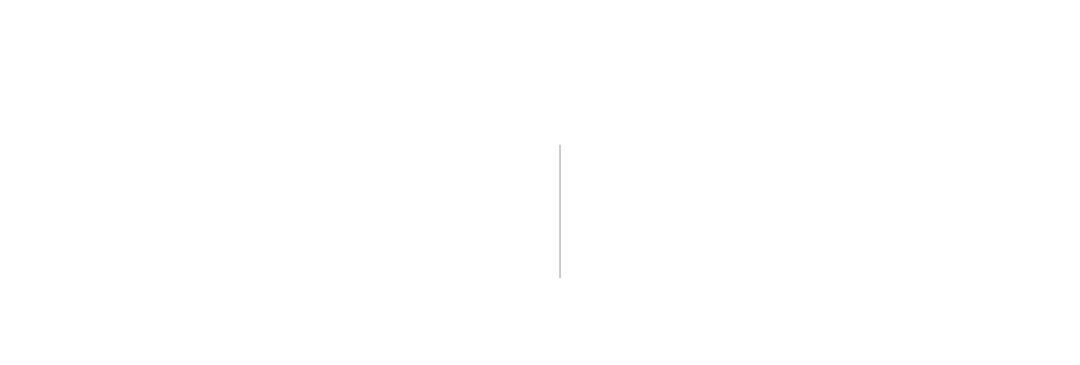 AHSEB 60 anos